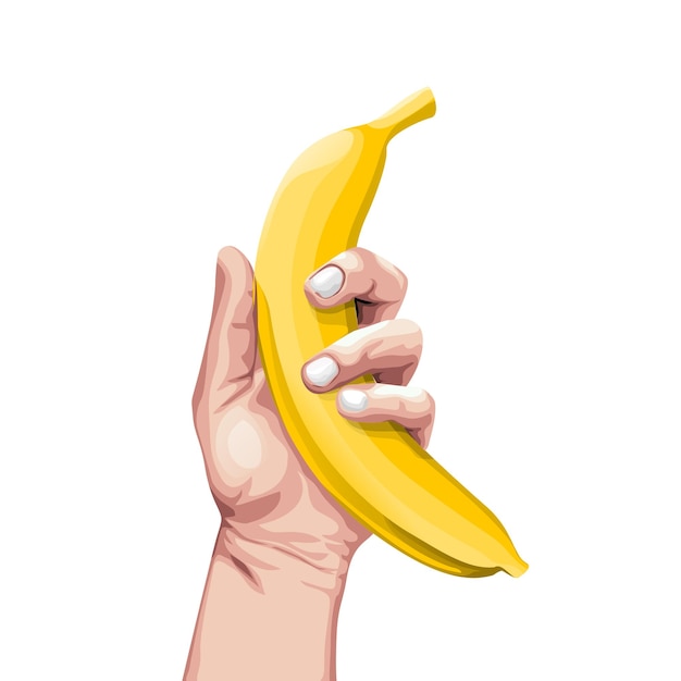 Una mano que sostiene un plátano dibujado con un fondo blanco.