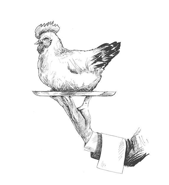 Mano sosteniendo un fondo de vector de boceto dibujado a mano de pollo