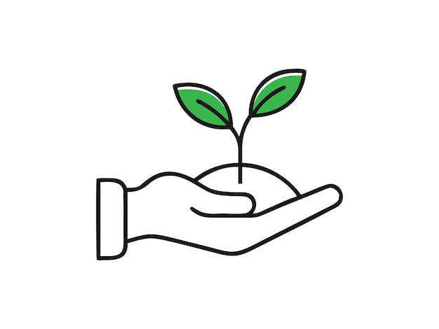 La mano sosteniendo una planta que brota un símbolo de crecimiento y protección del medio ambiente