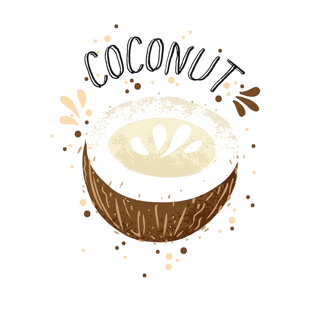 Mano de vector dibujar ilustración de coco. Cocos marrones con jugo splash aislado sobre fondo blanco.