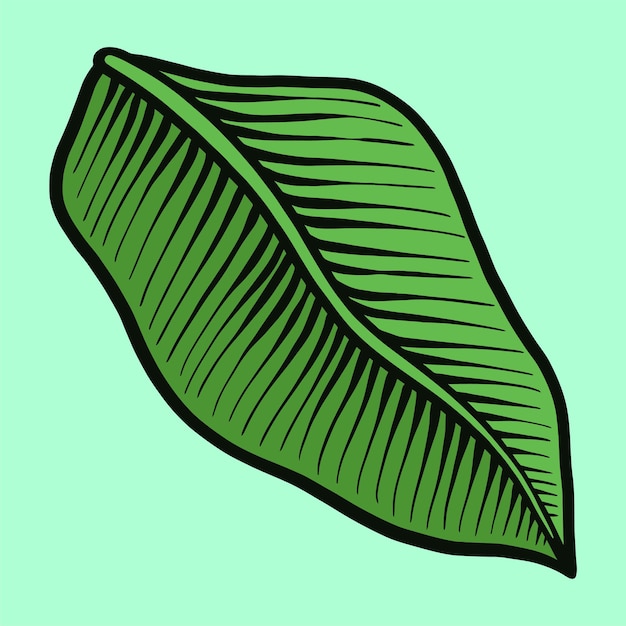 Mano Verde Dibujo Ilustración Hoja Tropical