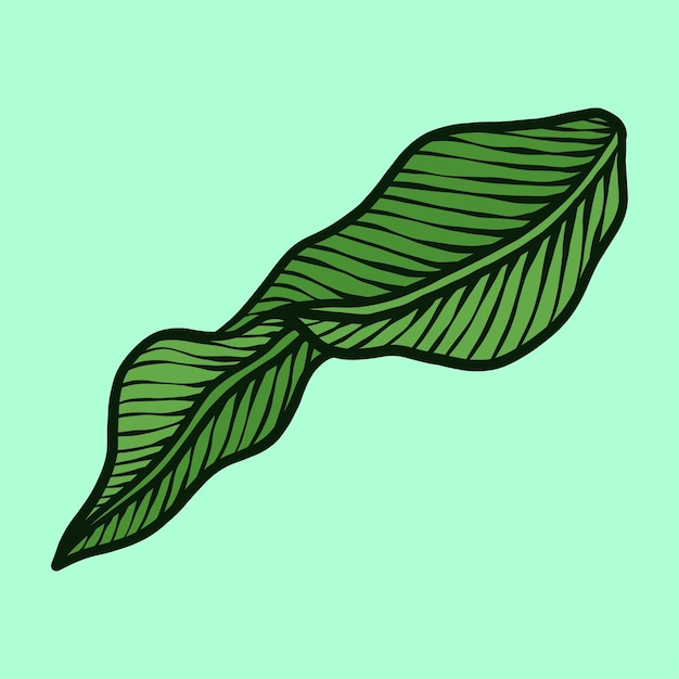 Mano Verde Dibujo Ilustración Hoja Tropical