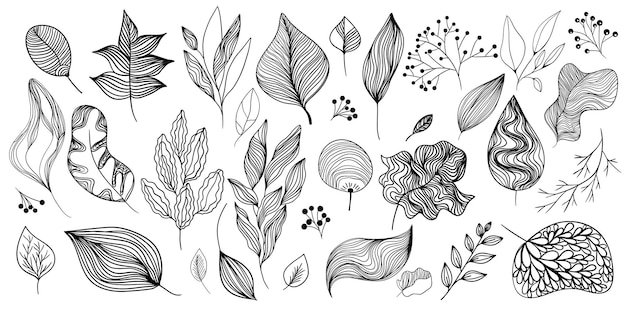 Manojo de hojas ramas bardana bayas arbustos viburnum serbal Conjunto lineal en blanco y negro