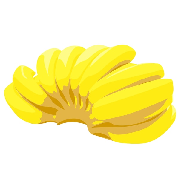 Vector manojo de plátanos aislado sobre fondo blanco