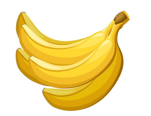 manojo de plátanos amarillos fruta tropical comestible baya ilustración plana