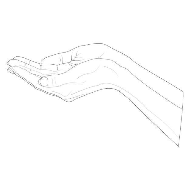 Las manos abiertas en un gesto de dar o recibir un simple dibujo de línea