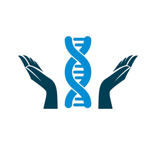 Manos cariñosas sostienen un modelo de ADN humano. La bioingeniería como la dirección de la genética, el símbolo científico vectorial abstracto mejor para su uso en la educación, la ciencia y la investigación de la evolución de la humanidad.