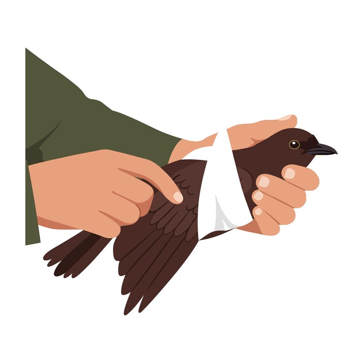 Vector manos cariñosas vendando suavemente a un pájaro marrón en una ilustración vectorial plana