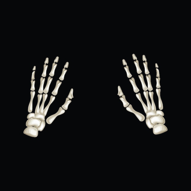 Manos de esqueleto detalladas en un fondo negro perfectas para temas de Halloween y diseños espeluznantes