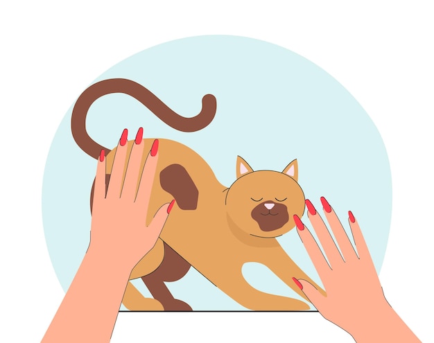 Vector manos femeninas acariciando lindo gato feliz. propietario o voluntario cuidando la ilustración de vectores planos de gatitos o mascotas. amor, cuidado de animales, concepto de amistad para banner, diseño de sitio web o página web de destino