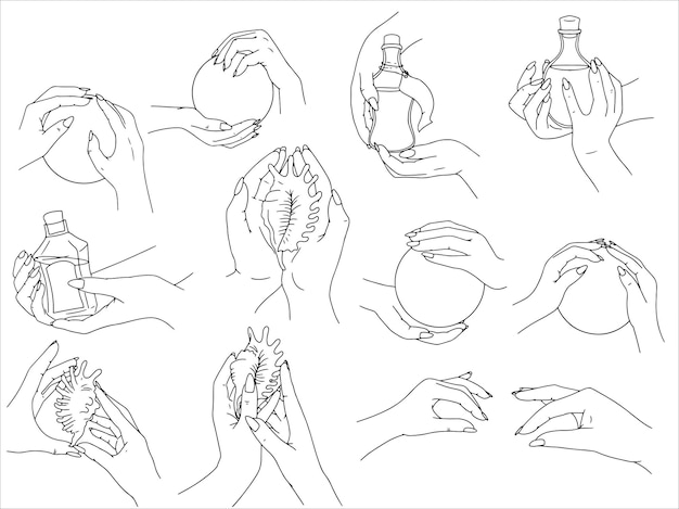 Vector manos femeninas en diferentes poses. dibujo lineal. ilustración de vector aislado sobre fondo blanco.