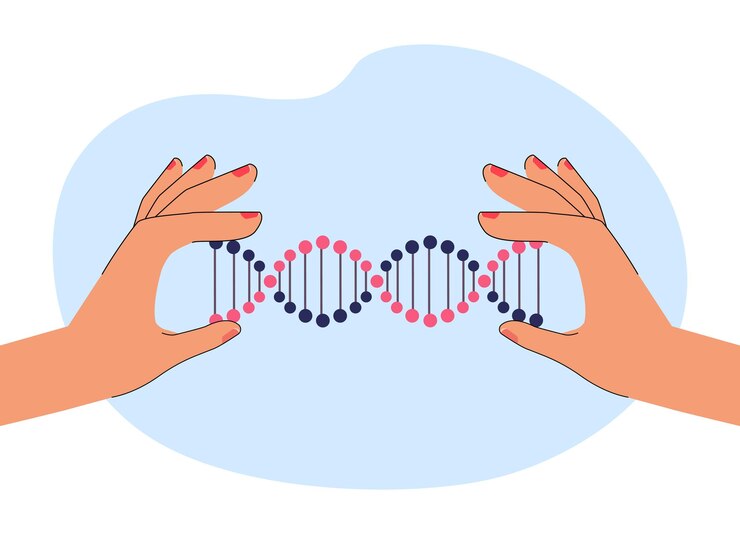 Vector manos femeninas sosteniendo una molécula de adn. átomos en estructura de adn, genes o información genética ilustración vectorial plana. química, biología, ciencia, concepto de biotecnología para banner o página web de inicio