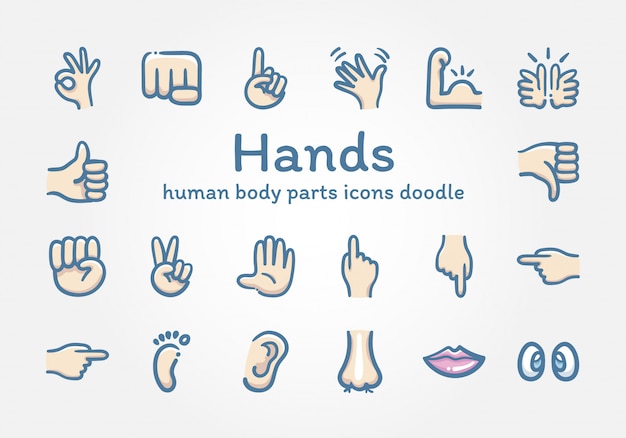 Las manos y los iconos de partes del cuerpo humano doodle