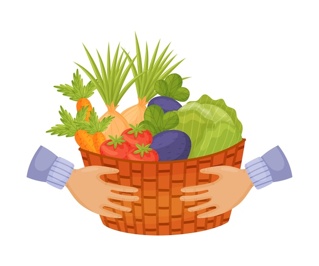 Las manos en mangas azules sostienen una gran canasta de mimbre con remolachas, cebollas, zanahorias y tomates, ilustración vectorial sobre un fondo blanco.