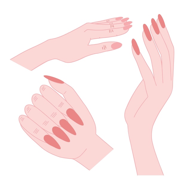 Manos de mujer con set de manicura desnuda Diferentes tipos de manos de mujer con set de vectores de manicura beige