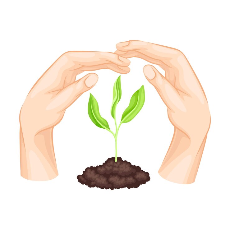 Vector manos que cubren una planta verde que crece en el suelo como ilustración del vector de protección de la naturaleza
