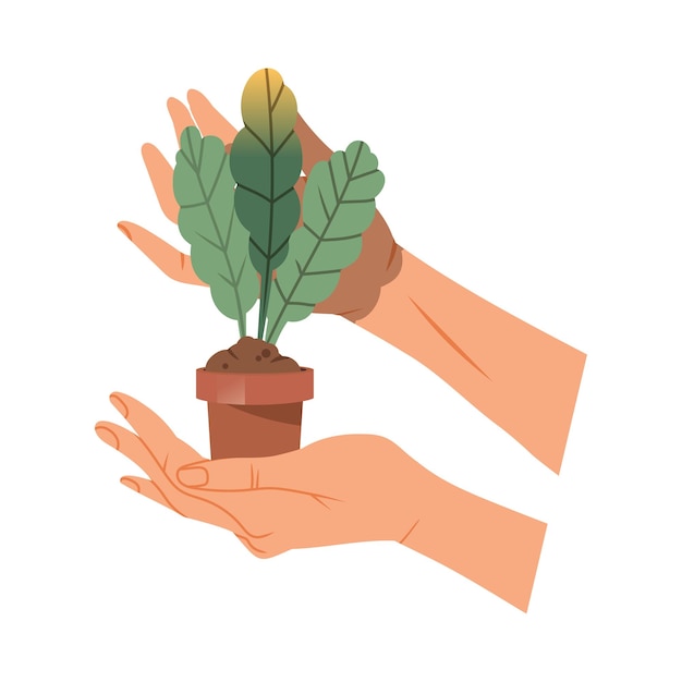 Manos sosteniendo brotes de plantas verdes en una olla cuidando la naturaleza y el medio ambiente Ilustración vectorial