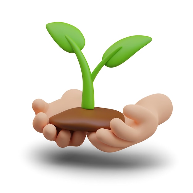 Las manos sostienen el suelo con plantas germinadas grano en palmeras d germinar productos orgánicos
