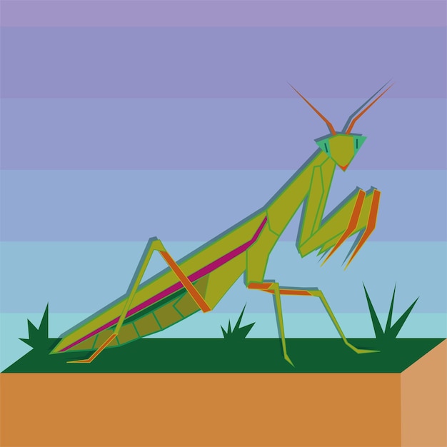 Mantis en hierba ilustración vectorial plana