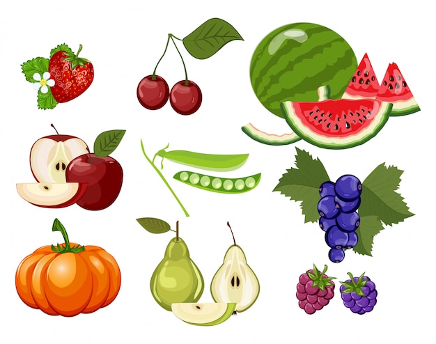 Manzana, calabaza, cereza dulce, cereza, grosella, guisante verde, uva, sandía, pera, manzana. ilustración de la fruta