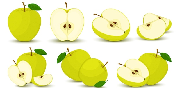 Manzana. Conjunto de vector brillante de medio colorido, rebanada y segmento de jugosa manzana verde. Manzanas frescas de dibujos animados sobre un fondo blanco.