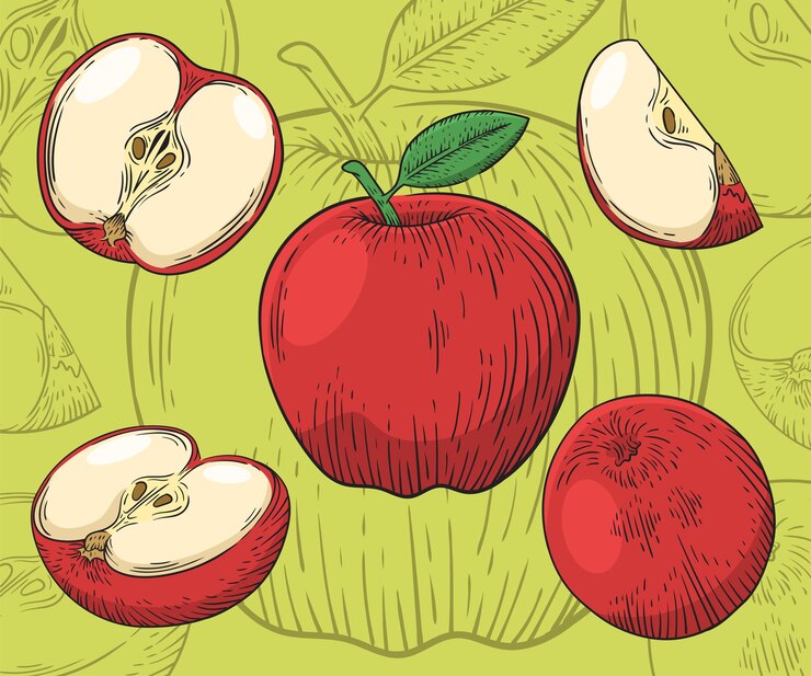 Manzana cortada en cualquier variación ilustración dibujada a mano en estilo grabado
