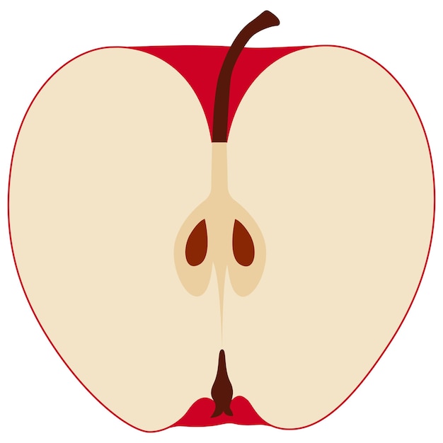 Manzana cortada a la mitad en gráficos vectoriales