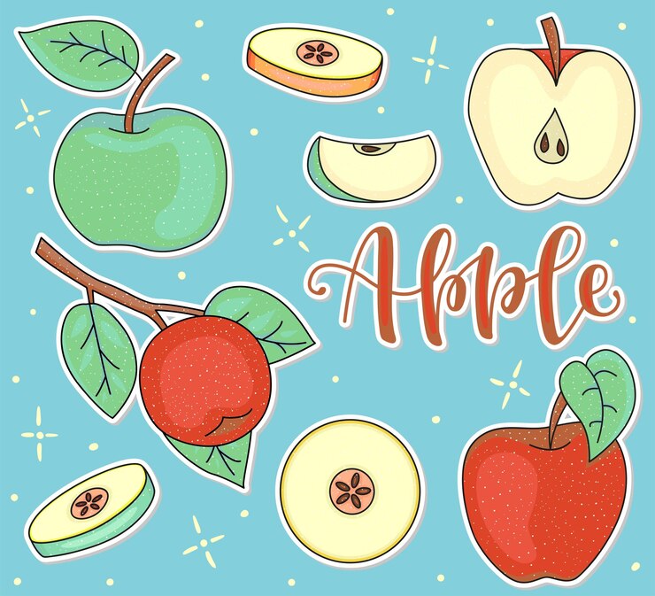 Vector manzana entera y piezas ilustración de stock vectorial conjunto de frutas coloreadas