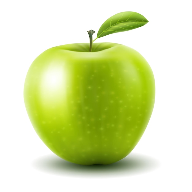 Vector manzana. ilustración de vector de manzana verde fresca con una sola hoja, diseño de malla de degradado realista, aislado en blanco