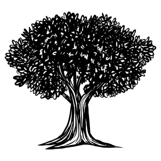 Manzana Roble Árbol Vintage Dibujo Ilustraciones Vector Arte