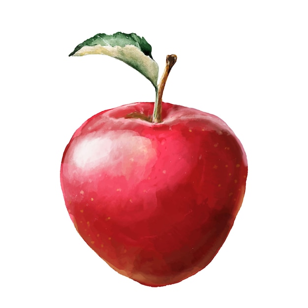 Una manzana roja con una hoja verde ilustración en acuarela de una manzana para el diseño de cafés.