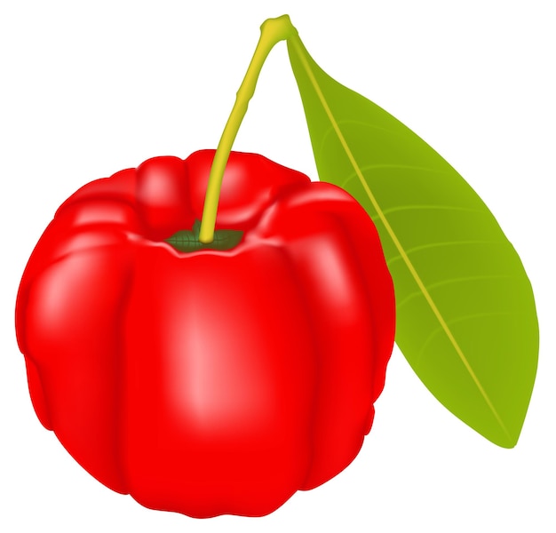 Vector una manzana roja con una hoja