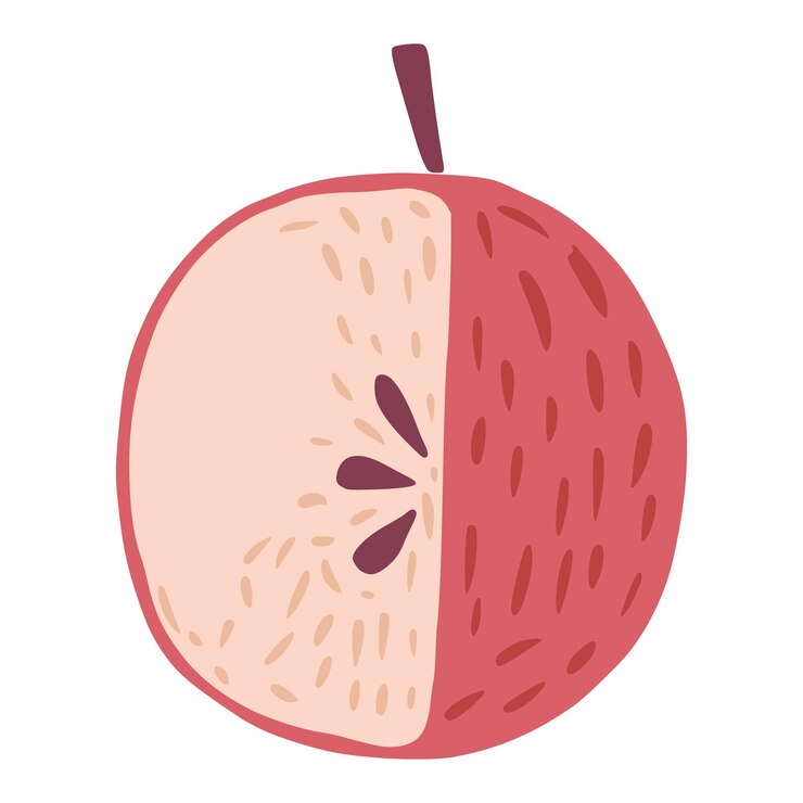 Vector manzana roja con ramita y sin hojas aisladas sobre fondo blanco. manzana con semillas dibujadas a mano en la ilustración de vector de estilo doodle.