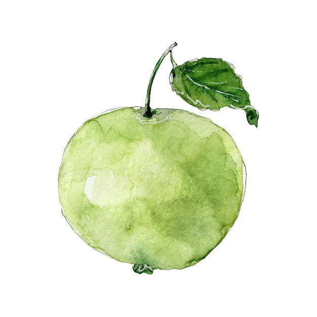 Vector manzana verde con hoja acuarela clip arte dibujado a mano ilustración aislada sobre fondo blanco