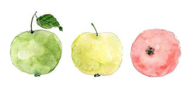 Manzanas clipart acuarela y tinta ilustraciones dibujadas a mano