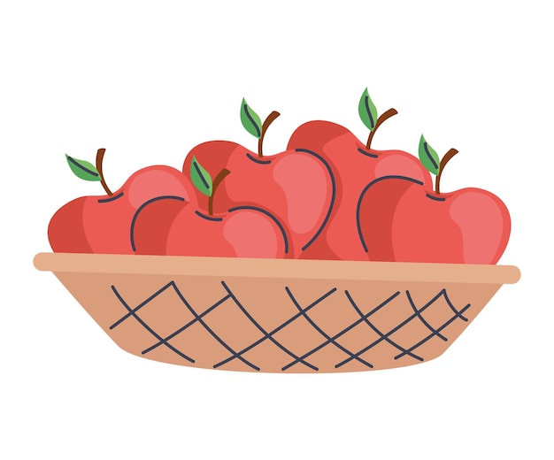 Vector manzanas frescas frutas en el icono de la canasta