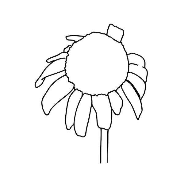 Manzanilla capullo planta naturaleza doodle lineal dibujos animados para colorear