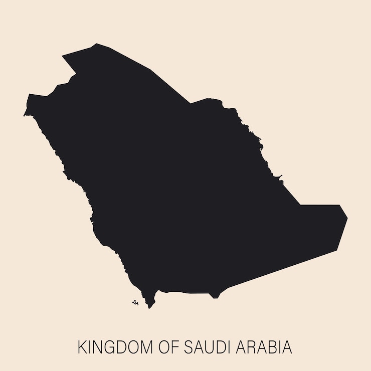 Vector mapa de arabia saudita muy detallado con bordes aislados en el fondo estilo plano