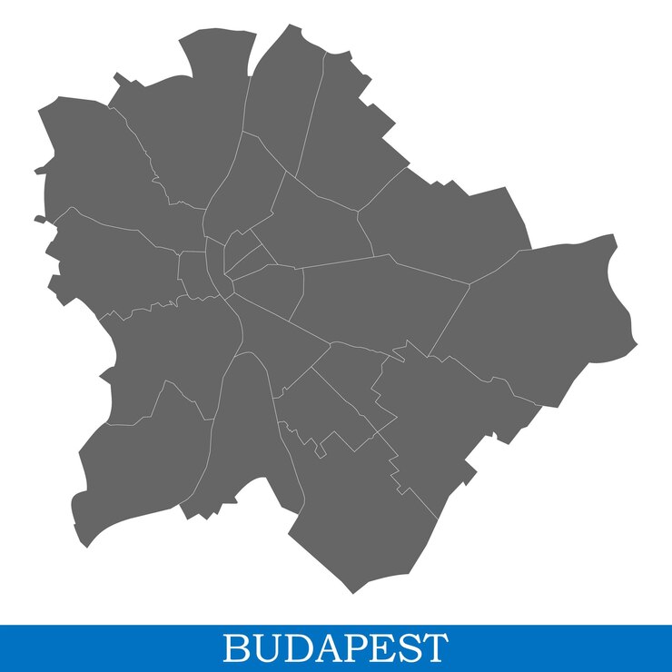 Vector mapa de la ciudad de alta calidad