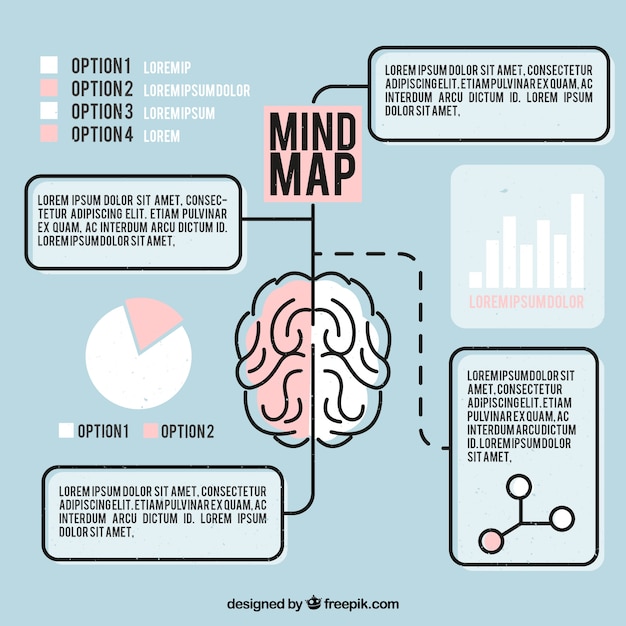 Mapa conceptual con cerebro y gráficos