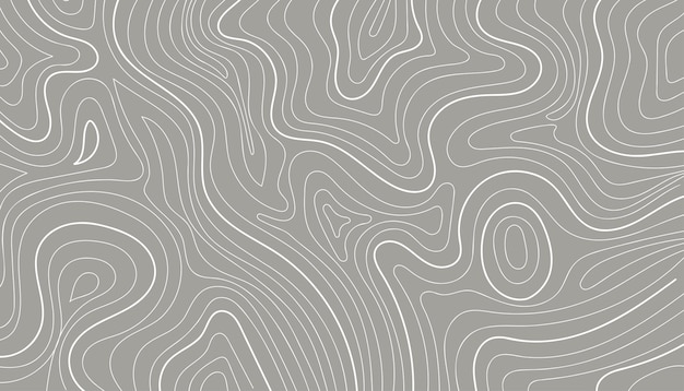Mapa de contorno abstracto aislado en fondo gris Ilustración vectorial