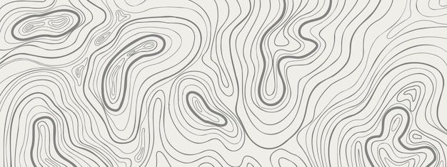 Mapa de contorno topográfico Vista superior Fondo abstracto con relieve de montaña de línea geográfica