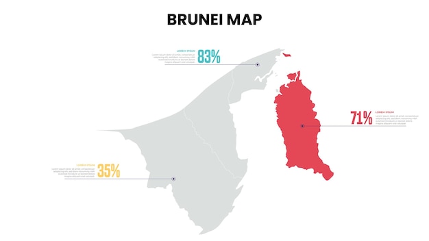 Mapa moderno de Brunei Template de infografía en porcentaje Mapa infográfico detallado de Brunei
