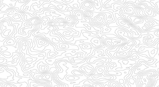 Mapa topográfico abstracto de fondo Mapa de líneas geográficas con asignaciones de elevación