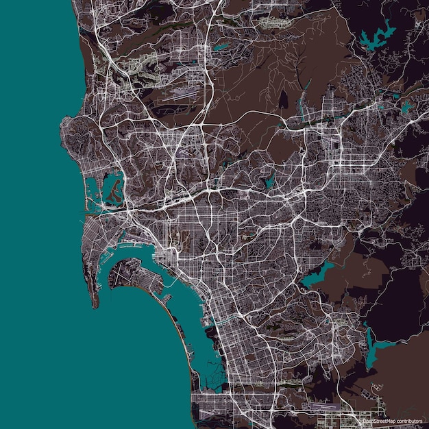 Vector mapa vectorial de la ciudad de san diego california ee.uu.