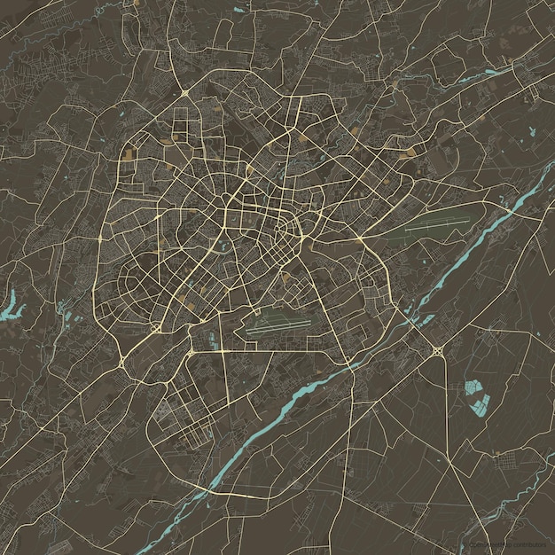 Vector mapa vectorial de la ciudad de tashkent uzbekistán