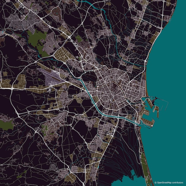 Mapa vectorial de la ciudad de Valencia España