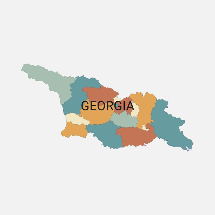 Mapa vectorial de Georgia con divisiones administrativas