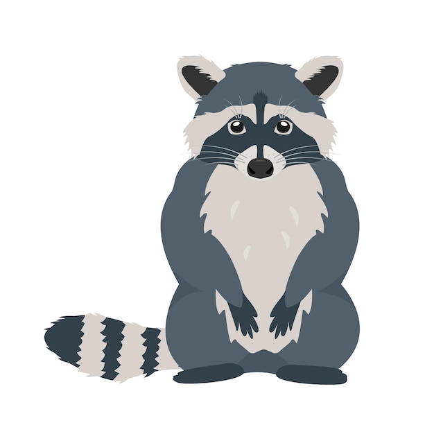 Mapache gris y blanco con cola esponjosa a rayas Icono de mapache animal del bosque de mamíferos salvajes