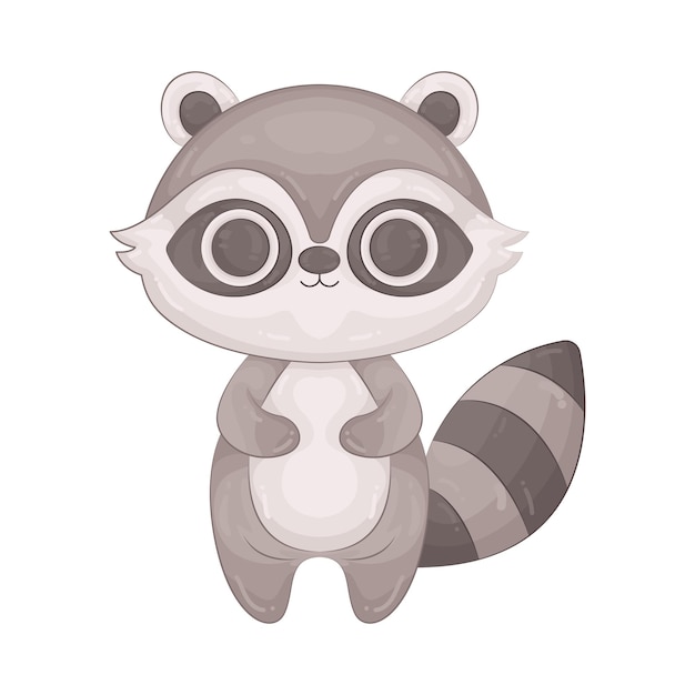 mapache